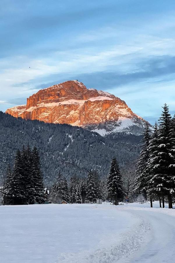 Cesa Pier Sellaronda Dolomiti Appartement Campitello di Fassa Buitenkant foto