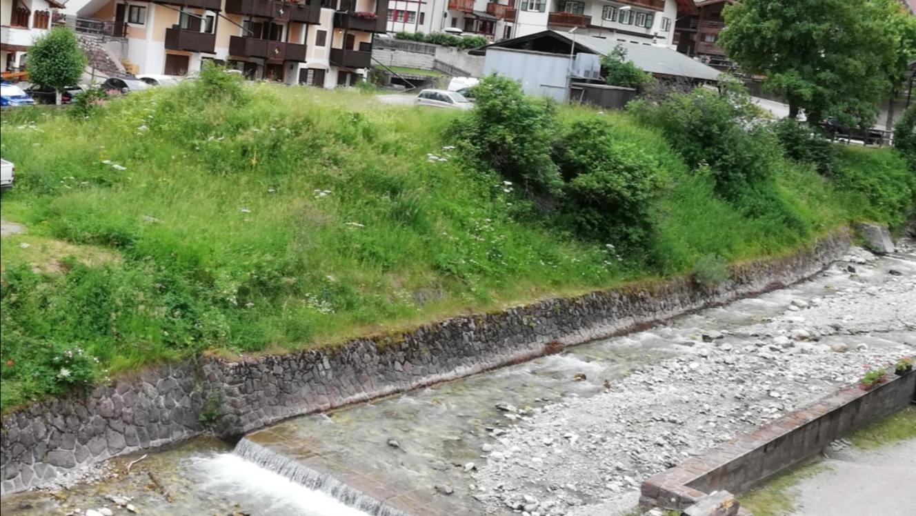 Cesa Pier Sellaronda Dolomiti Appartement Campitello di Fassa Buitenkant foto