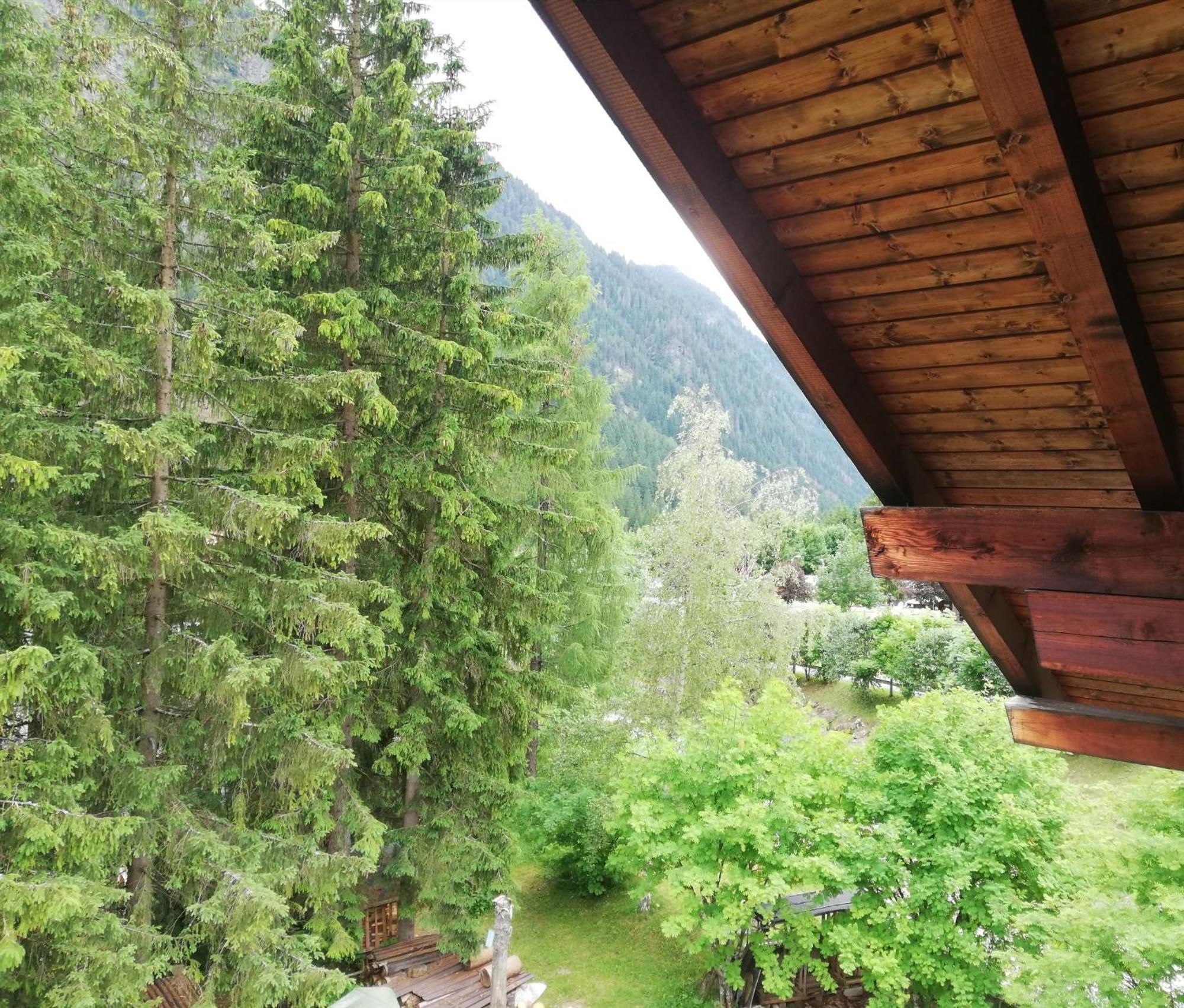 Cesa Pier Sellaronda Dolomiti Appartement Campitello di Fassa Buitenkant foto